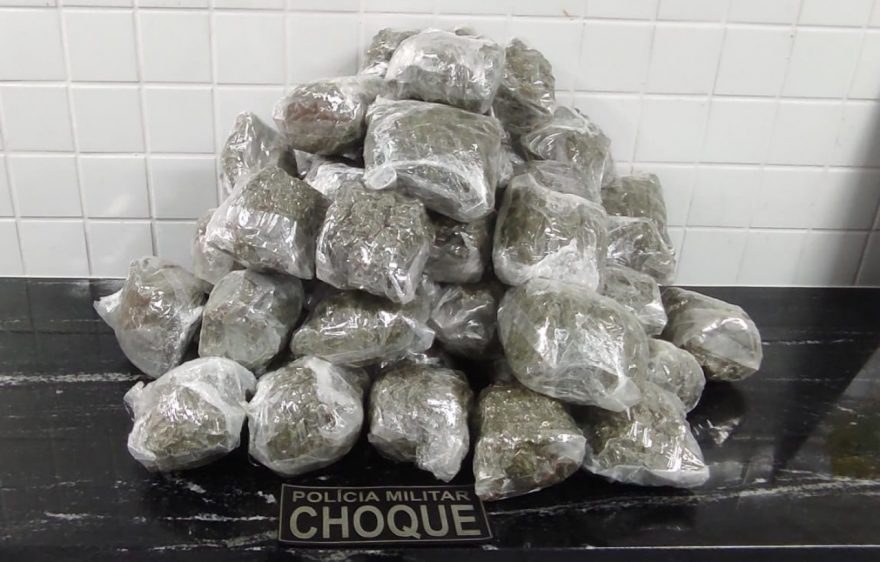 Passageiro é detido com 13 kg de maconha na rodoviária de Cascavel