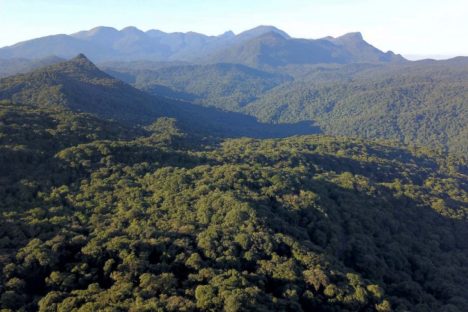 Araucária e Fundação Grupo Boticário financiam projetos inovadores na Mata Atlântica