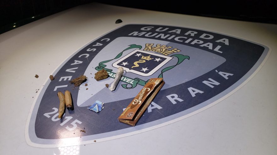 GM apreende maconha e ecstasy durante operação Aifu em Cascavel