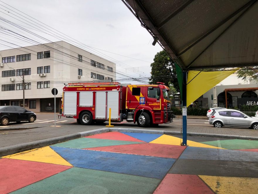 Gato fica preso e mobiliza equipe dos Bombeiros ao Centro Cultural