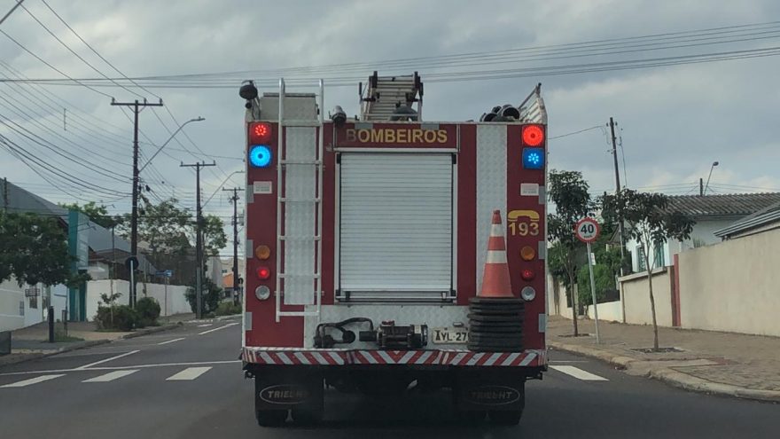 Cachorro preso em pedreira mobiliza Corpo de Bombeiros no Guarujá
