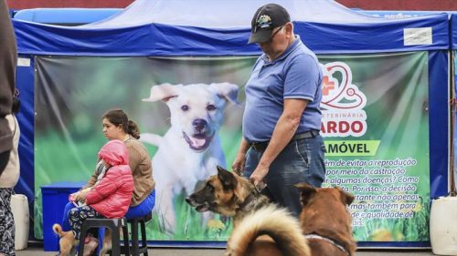 Mutirão para castração gratuita de cães e gatos chega a mais uma regional de Curitiba. Saiba como se inscrever Imagem referente a Mutirão para castração gratuita de cães e gatos chega a mais uma regional de Curitiba. Saiba como se inscrever