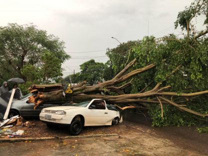 Imagem referente a Temporal: Grande destruição é registrada no Bairro Santa Cruz