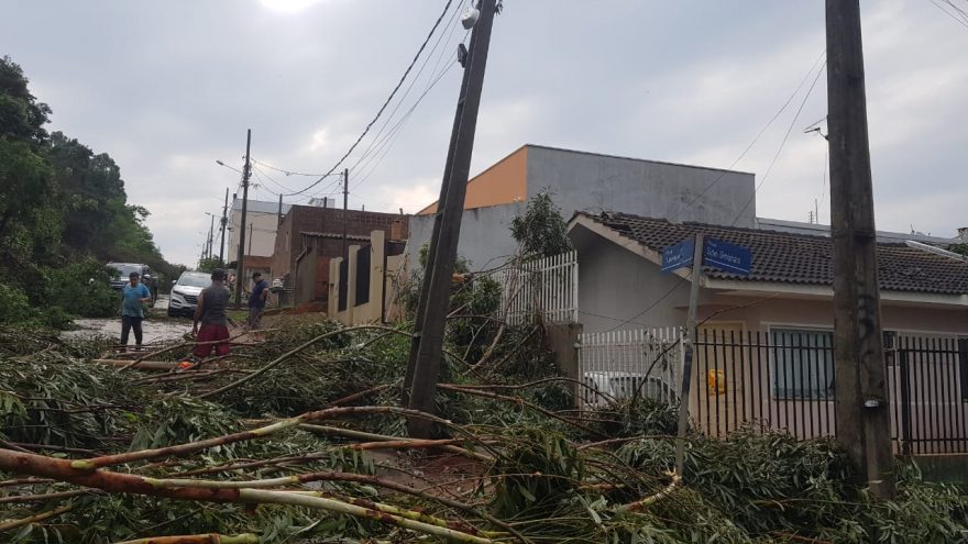 “Parece cena de guerra”, moradores do Paulo Godoy mostram danos provocados pelo temporal