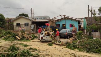 Tornado: Meio Ambiente remove mais de 100 árvores caídas em Cascavel