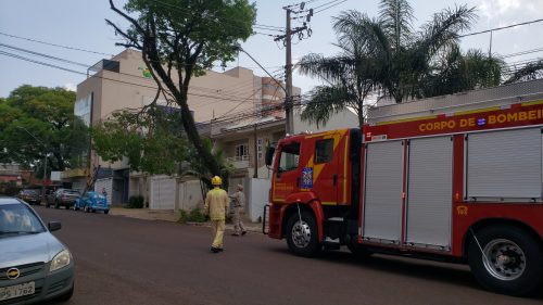 Corpo de Bombeiros é mobilizado para realizar poda de árvore na rua Osvaldo Cruz Imagem referente a Corpo de Bombeiros é mobilizado para realizar poda de árvore na rua Osvaldo Cruz