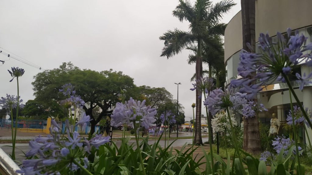 Previsão de pancadas de chuva e máxima de 28°C neste sábado