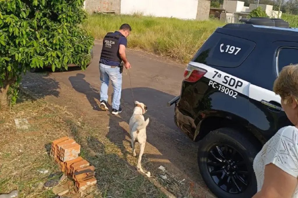 Polícia Civil de Umuarama retira cachorro vítima de maus-tratos de seu tutor