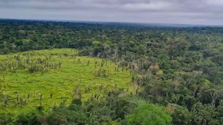Entenda o que é e para que serve o mercado de carbono