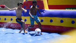 Hoje é Dia: semana celebra criança, nordestino e feriado de Aparecida