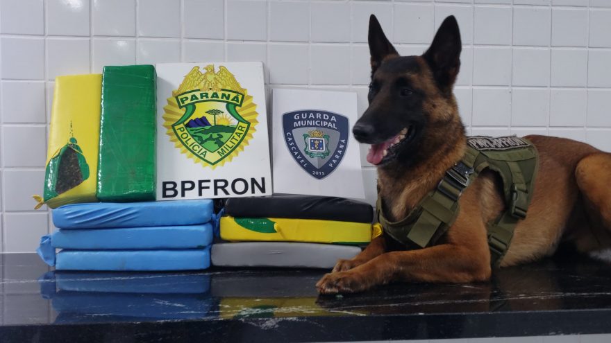 Em ação da Rodoviária, BPFron intercepta encomenda de droga que chegava a Cascavel