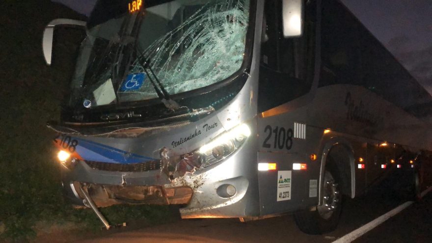 Cavalos soltos na rodovia BR-467 causam acidentes e morrem atropelados
