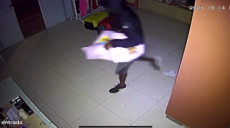 Câmera de segurança flagra furto em Petshop no Maria Luiza