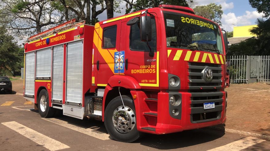 Bombeiros resgatam gatinhos recém nascidos que estavam no forro de Creche no São Cristóvão