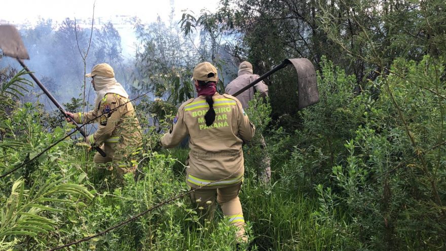 Bombeiros combatem incêndio em vegetação no Parque Verde