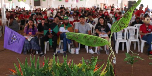 Imagem referente a Acampamento reúne jovens do campo, águas e florestas em Brasília