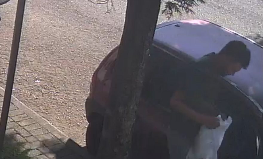 Câmera registra bandidos estourando vidro de carro para furtar mochila