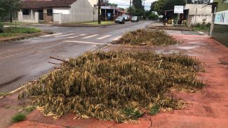 Postes caem durante temporal na BR 277, região do Trevo da Portal