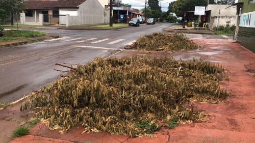 Imagem referente a Moradores reclamam de entulhos que ficaram jogados na calçada após o temporal de 4 de outubro