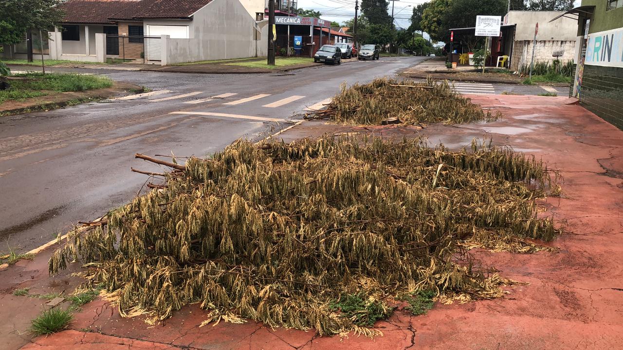 Saiba como estão os atendimentos da Prefeitura de Cascavel após o tornado