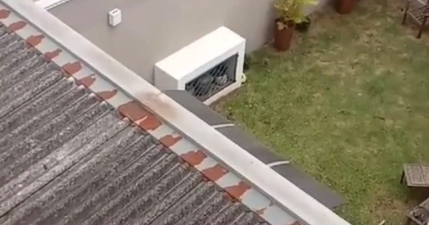 Mulher é acusada de agredir o filho autista em Ponta Grossa; veja vídeo