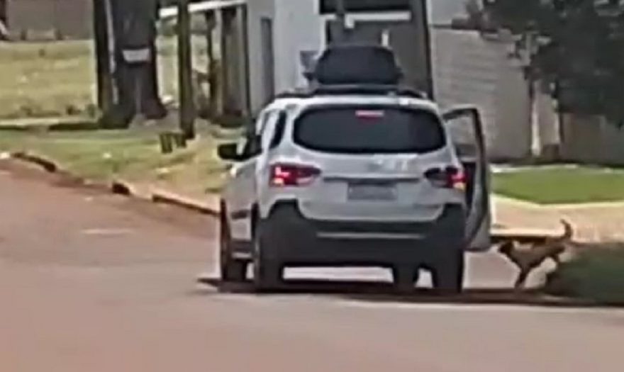 Vídeo flagra mulher abandonando cachorrinha de três patas no Cascavel Velho