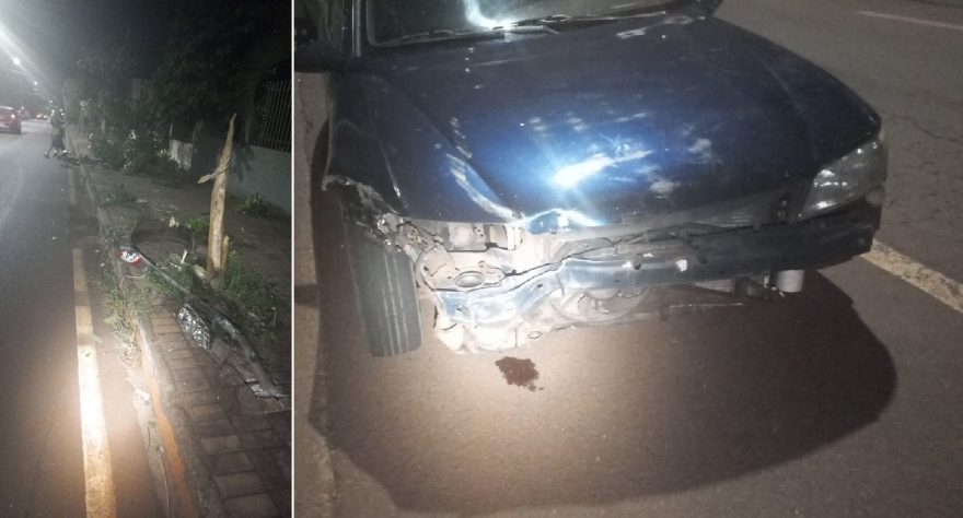 Após derrubar árvore e placa, motorista é detido pela Patrulha Ambiental