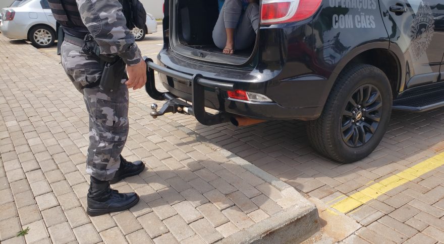 Foragida da Justiça pelo crime de furto é presa pelo CHOQUE