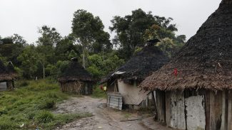 Representantes de corte interamericana visitarão TI Yanomami