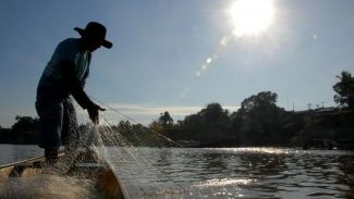 Força-tarefa para zerar a fila de cadastro de pescador é prorrogada