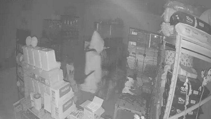 Ladrão invade Pet Shop, furta medicamentos, ração, moedas e doces