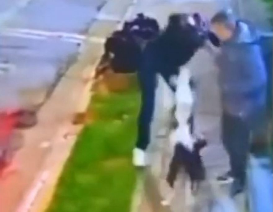 Cachorro heroico impede assalto e salva seu dono na Grande São Paulo