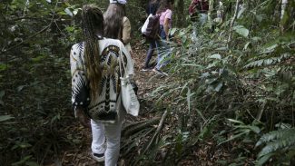 Participantes de projeto educativo conhecem biodiversidade do Cerrado