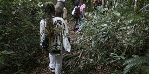 Imagem referente a Participantes de projeto educativo conhecem biodiversidade do Cerrado