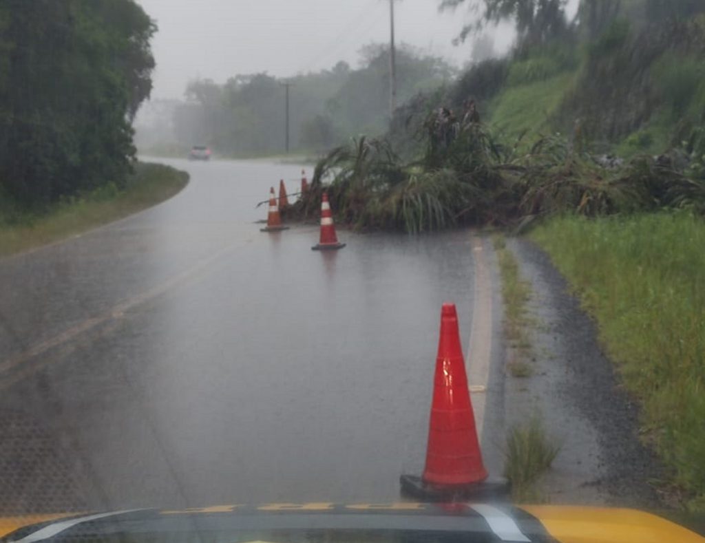 Chuvas no Paraná: trânsito flui com bloqueios em rodovias federais