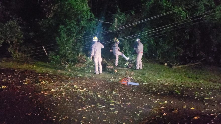 Vendaval derruba árvore em dois postes e deixa bairro Neva sem energia
