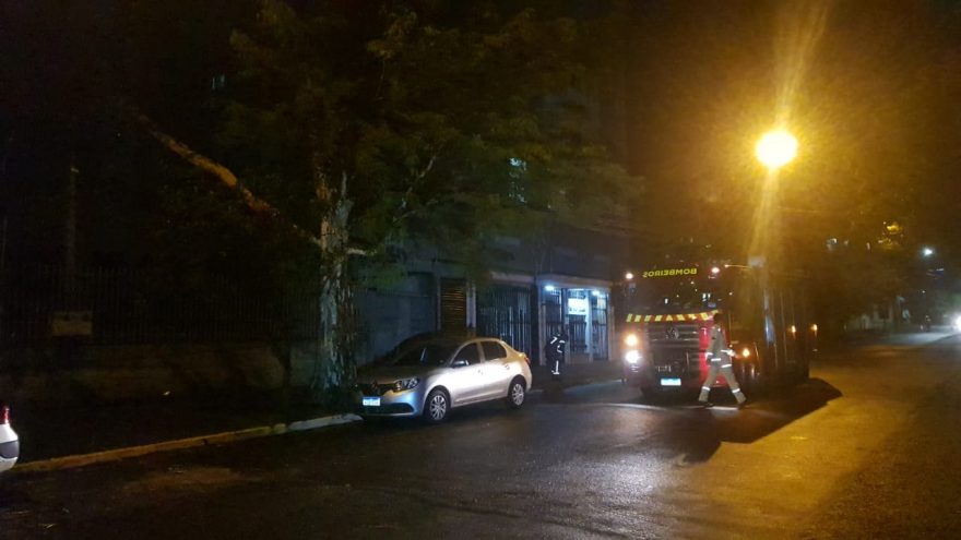 Bombeiros realizam poda de árvore na Rua Presidente Bernardes