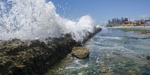 Corais podem evitar R$ 160 bilhões em danos ao litoral do Nordeste Imagem referente a Corais podem evitar R$ 160 bilhões em danos ao litoral do Nordeste