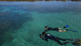 Cientistas propõem criação de APA entre Noronha e Ceará Cientistas propõem criação de APA entre Noronha e Ceará