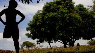 Dia do Saci: professores e artistas resgatam guardião da floresta