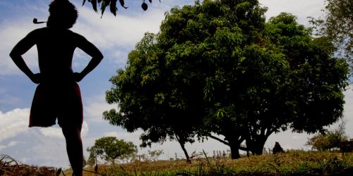 Imagem referente a Dia do Saci: professores e artistas resgatam guardião da floresta