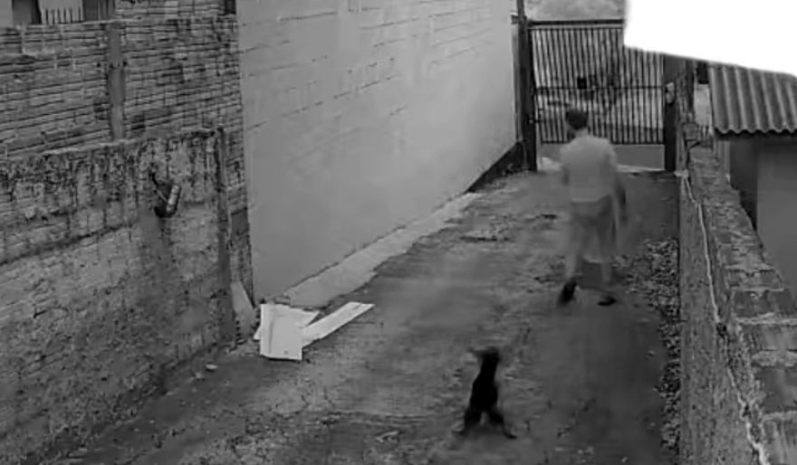 Cachorro afugenta invasor no bairro Cancelli