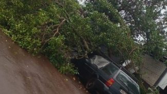 Cerca de 23 mil consumidores estão sem energia nas regiões Oeste e Sudoeste do Paraná