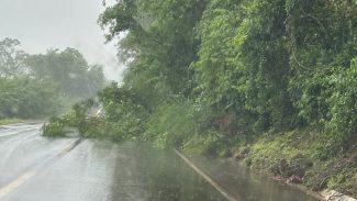 Rodovia BR-163 tem duas interdições na Região Sudoeste do Estado
