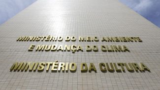 Entenda o papel do analista ambiental na proteção do meio ambiente