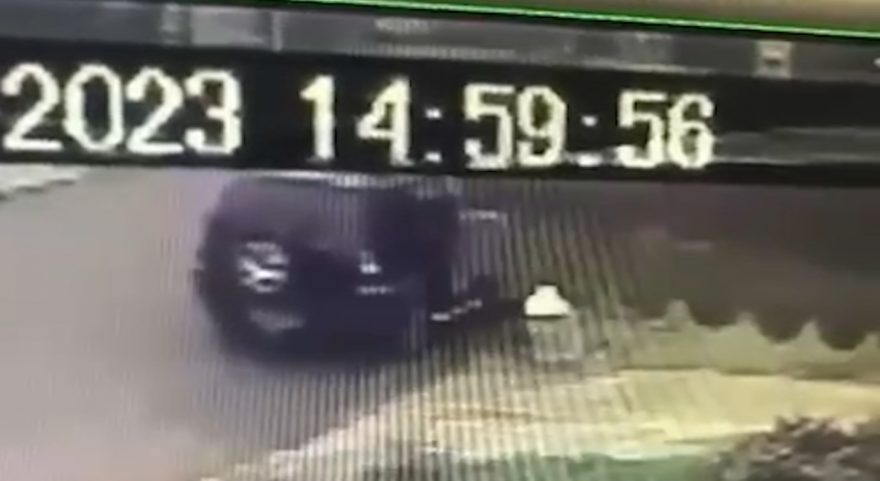 Absurdo: Caixa com cinco filhotinhos de gato é arremessada de carro no Bairro Turisparque