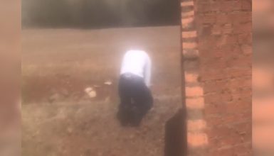 Imagem referente a Desolador: Vídeo mostra empresário de joelhos rezando diante de incêndio na BR-277