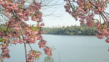 Imagem referente a Lago Municipal de Cascavel completa 39 anos de história