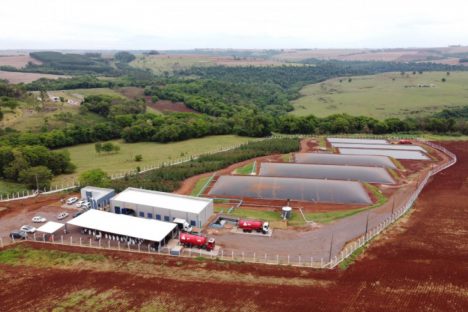 De passivo ambiental a energia com valor agregado: o caminho do biogás no Paraná