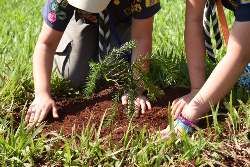Plantio de árvores é realizado por participantes da 2ª Corrida da Fé